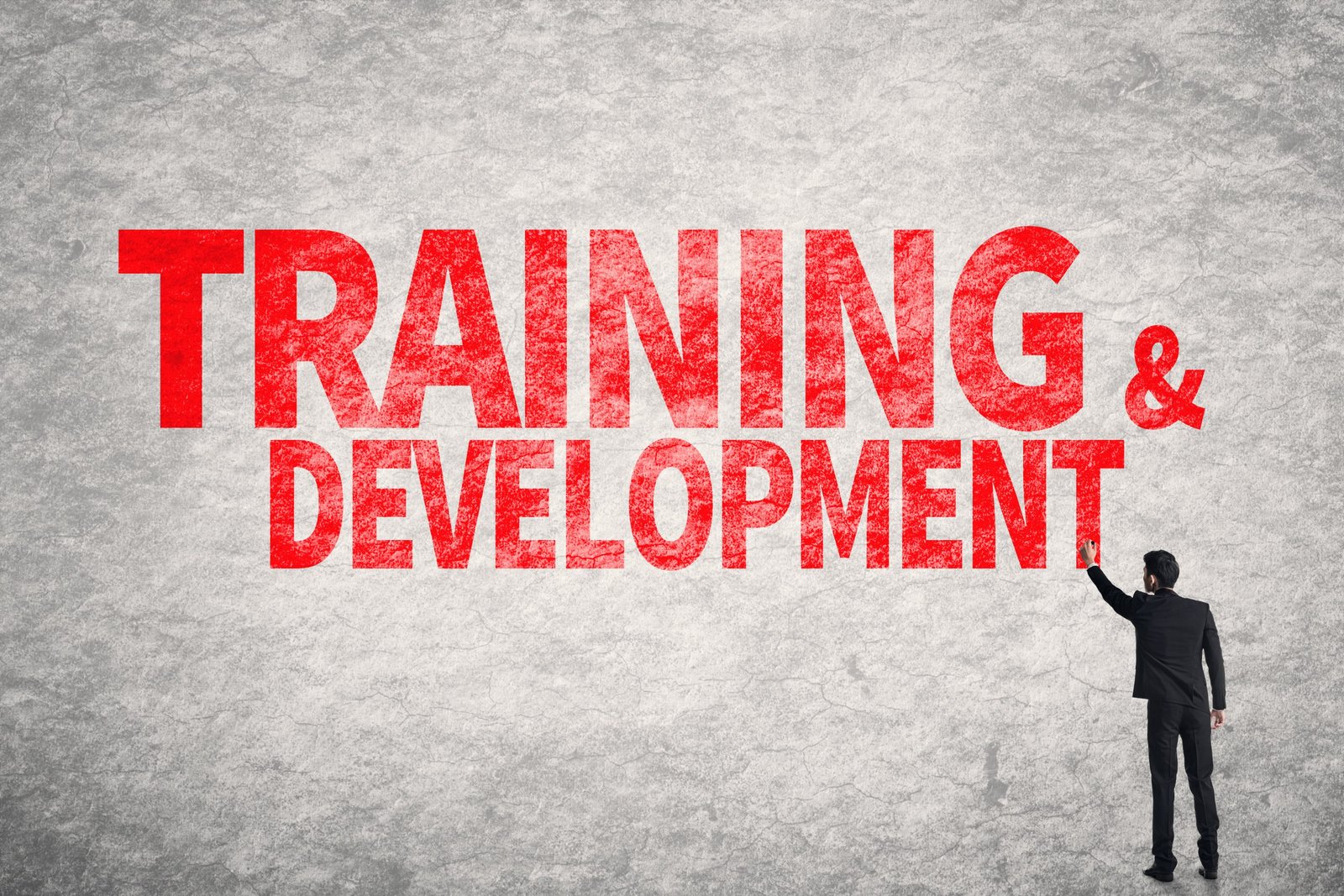 training-and-development-scaled
